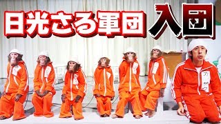 【猿コラボ】日光さる軍団に入団することになりました