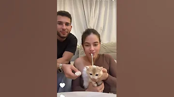 بيسان اسماعيل تاكل قطة أسامة مروة شيرين بيوتي Tiktok Viral Shorts Short Fyp Foryou ترند 1k 
