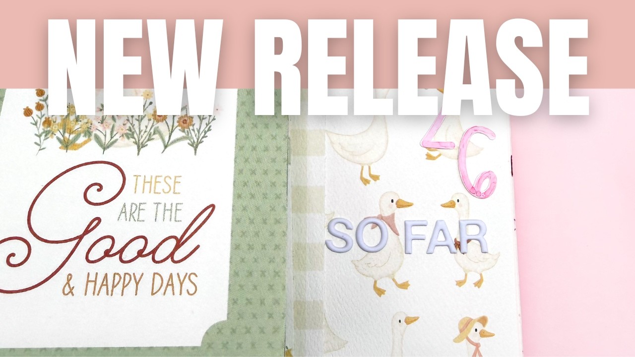 Carta Bella Silly Goose Collection Overview