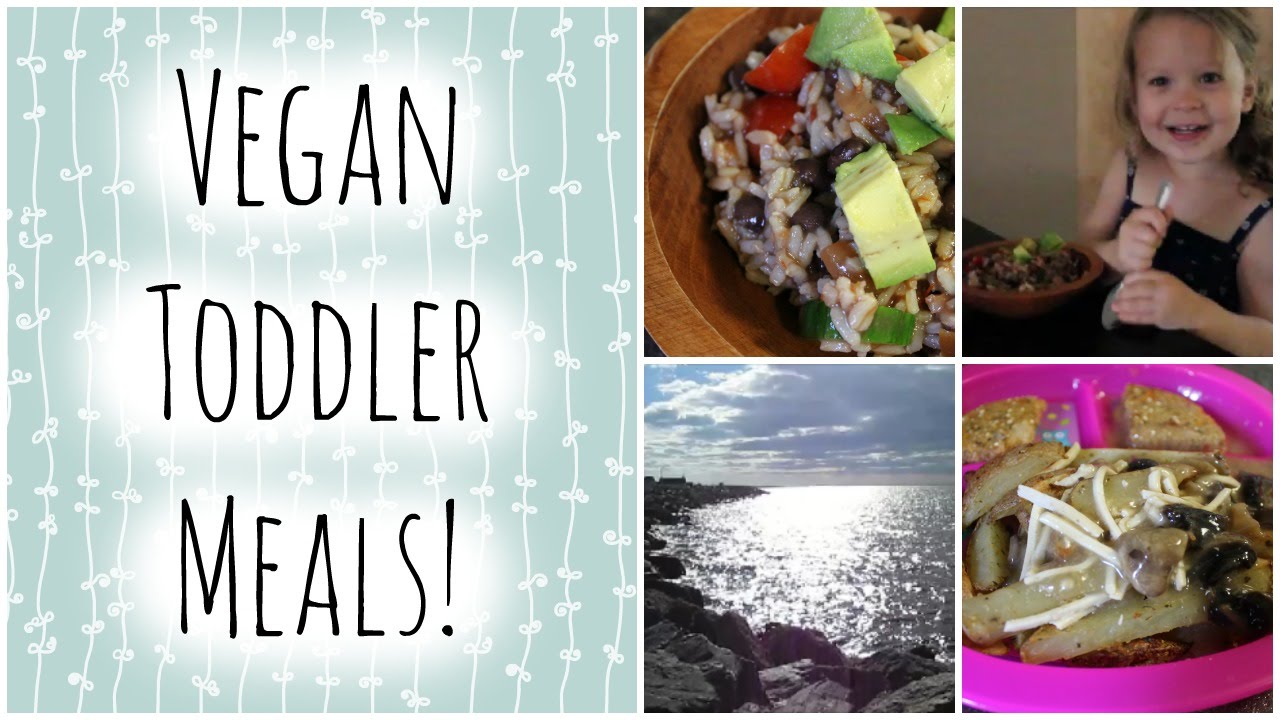 vegan-toddler-meals-keira-narrates-youtube