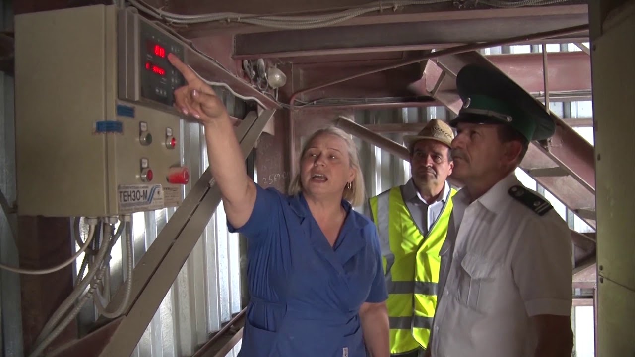 Управлением Россельхознадзора осуществлен контроль партии зерна, предназначенной на экспорт