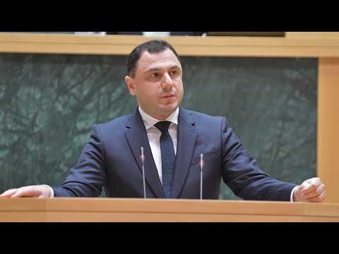 დეპუტატების კითხვები ამილახვარს და მასწავლებლების პროტესტი საკანონმდებლო ორგანოსთან