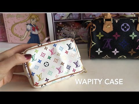 Louis Vuitton Wapity Case Multicolor Blanc- Whats fits inside