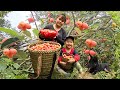 Cu bon and his mother picked nhot fruit to sell buy household appliances