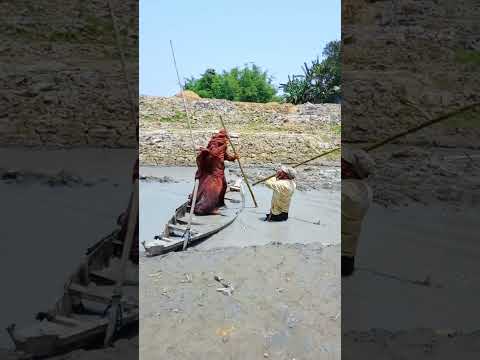 কি করে দেখুন