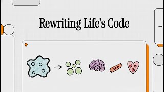 Grow Your Own Organs? The Incredible Promise of iPSC Organoids and Regenerative Medicine