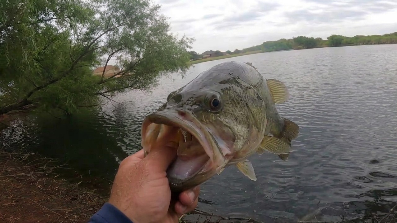 I ALMOST RAN OUT TIME… THEN I CAUGHT THIS!