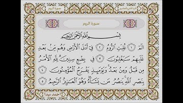 سورة الروم  بصوت الشيخ حسن صالح 030