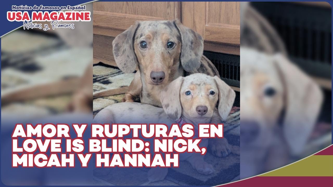 Nick de Love Is Blind se interesa en Micah tras ruptura con Hannah