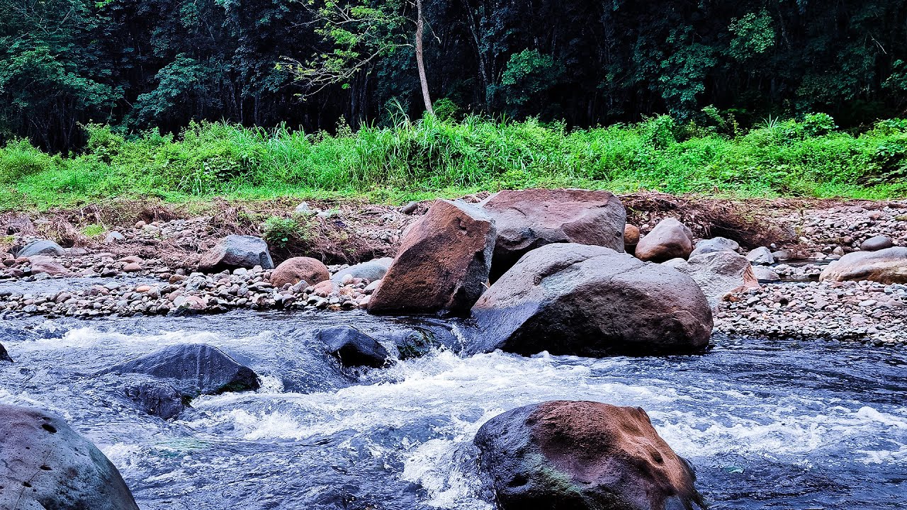 Chiring Unity Mind and soul unity into the chanting of nature stream, River lullaby ...