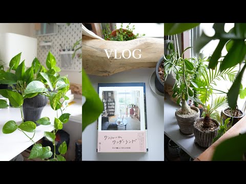 【vlog】触りたくなる本の紹介｜おかえりNEW下北沢｜夜の過ごし方