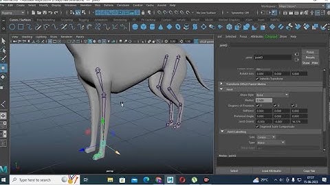 Maya Tutorials, Learn Rigging a Siamese Cat from Scratch in Maya ( Part 1)