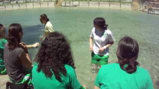 Momentos - Grupo Desportivo Mealhada