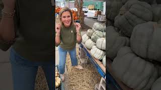 Fall Porch Decor Shopping 🍂 Heirloom Pumpkins & More!