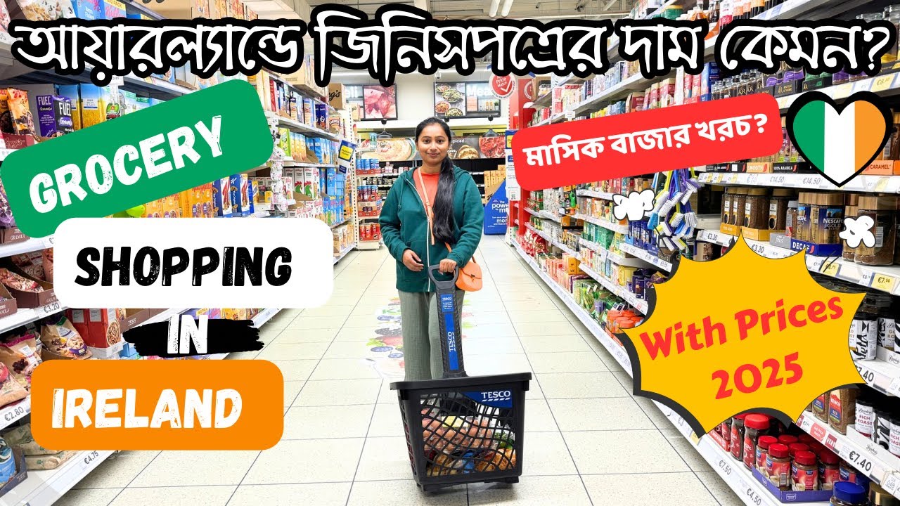 Grocery Shopping Vlog in IRELAND with PRICES 2025 🇮🇪 + Monthly Expenses | Indians Life in Ireland ✨