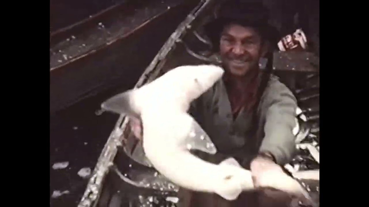 Around St. Andrews N B  in mid 1950s by Colin Mundy