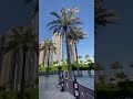 Новый район в Дубае -крик