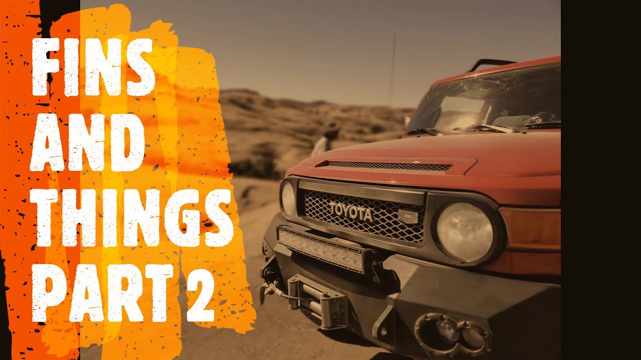 fins and things part 2 YouTube