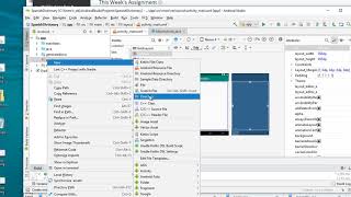 CIS274 Spanish Dictionary App 2 Create & Add Files 2018