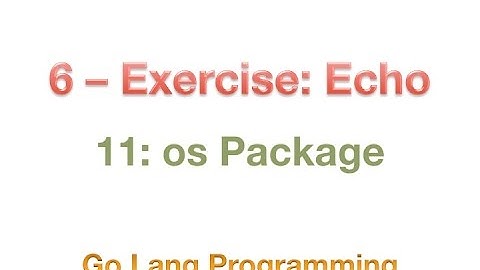 #golang #striversity 11.06 - Go Exercise - Echo