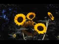 奇跡の地 - A Believing Heart -