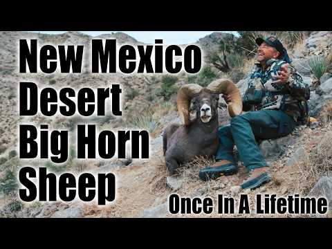 My Buddies GIANT New Mexico Ram Hunt 2025!