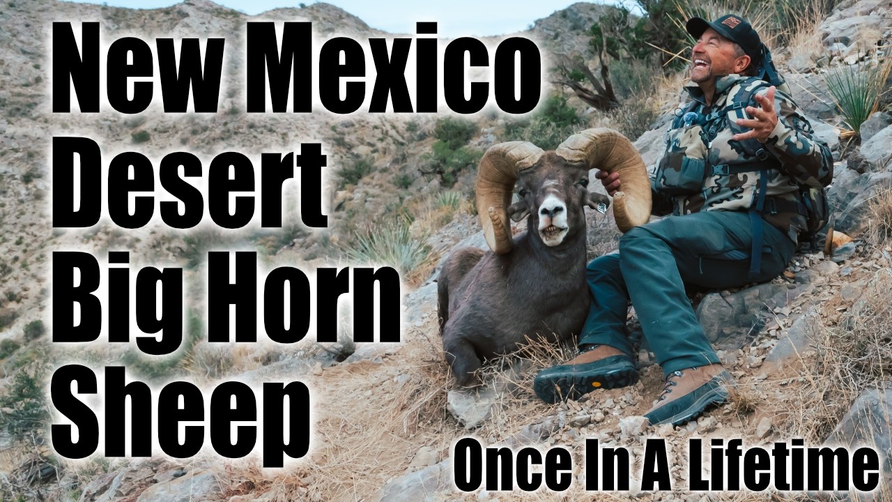 My Buddies GIANT New Mexico Ram Hunt 2025!