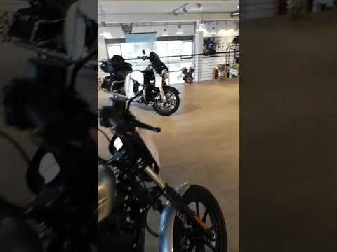 Harley Davidson '' Germany, Trier, Konz