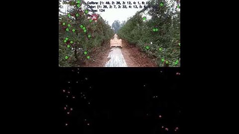 Detección de frutos IA