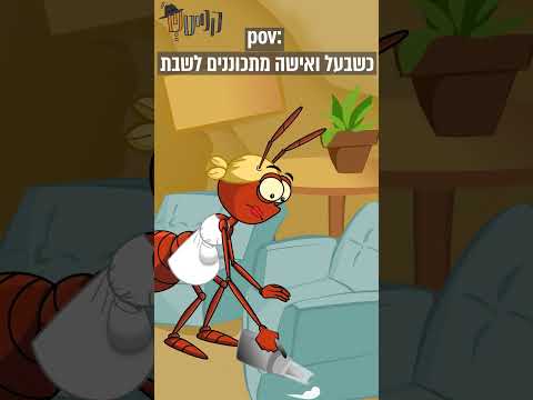 קנייטש | כשבעל ואישה מתכוננים לשבת