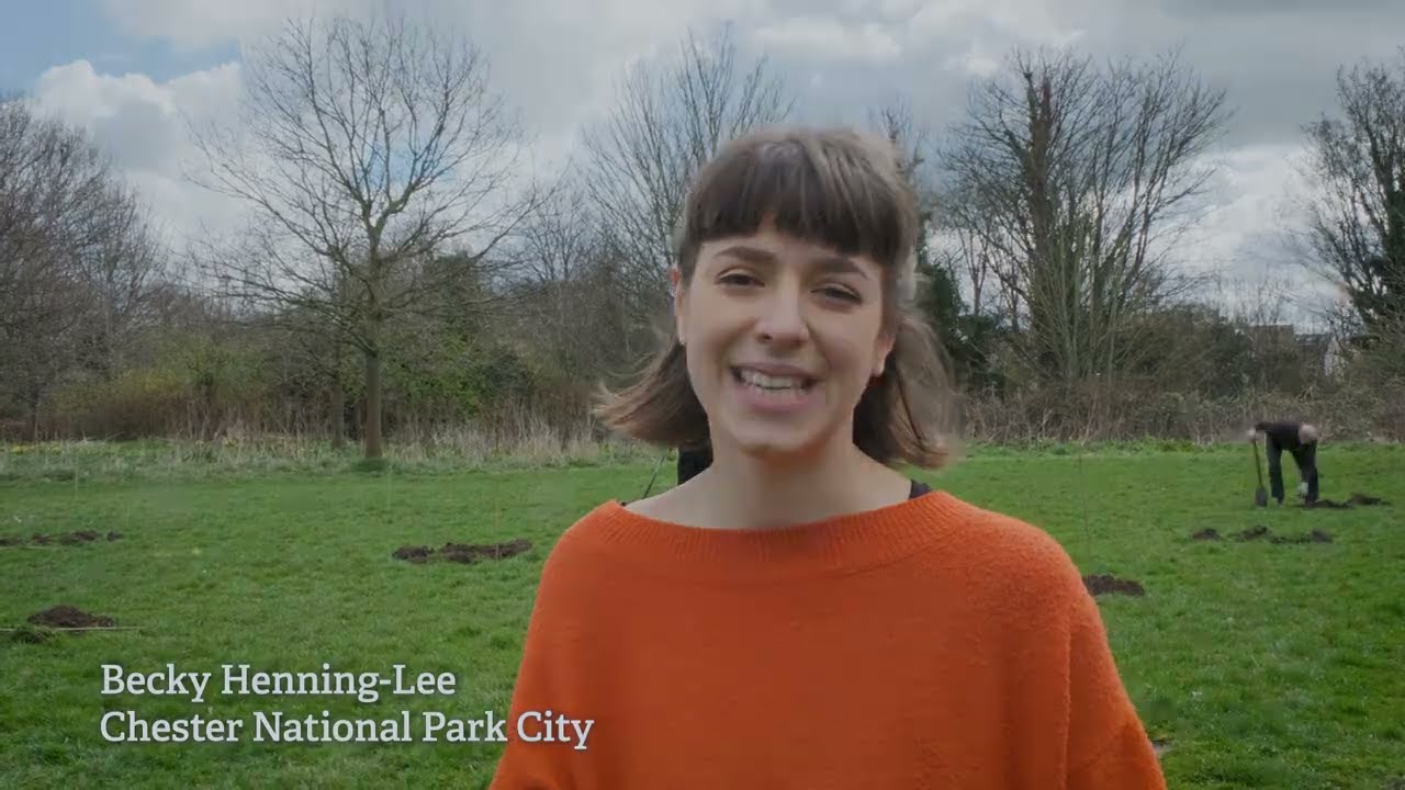 The Wild Network - bringing wildlife back together!