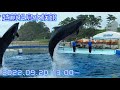 ◆越前松島水族館　イルカショー（2022.09.20）12:30~ ◆