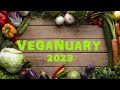 As Veganuary comes to an end, how&#39;s it looking for veganism in 2023? We review the encouraging signs