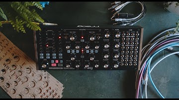Moog Subharmonicon first look review