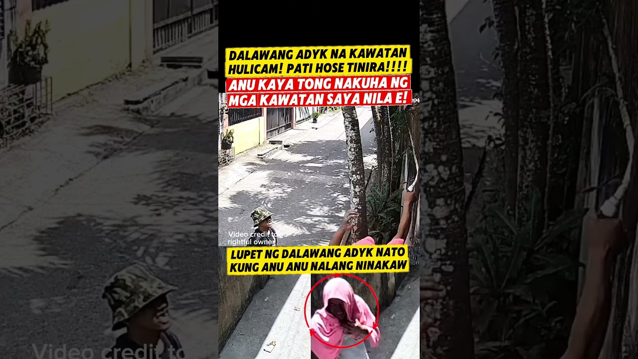 Наши воры украли ТУР. Что это они ПРОДАЮТ?! Они так рады его получить! | Вице-президент Сара