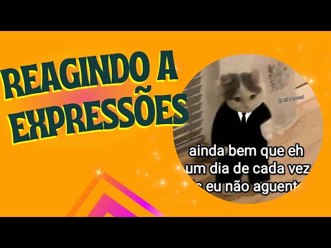 Reagindo a frases em português #brazilianportuguese #learnpolish #brazil