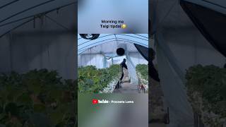 What is your name vannus ta #shorts #youtubeshorts #eps #epskorea #korea #agriculture #work