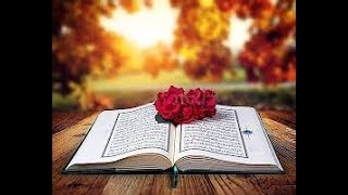 quran recitation 10 hours