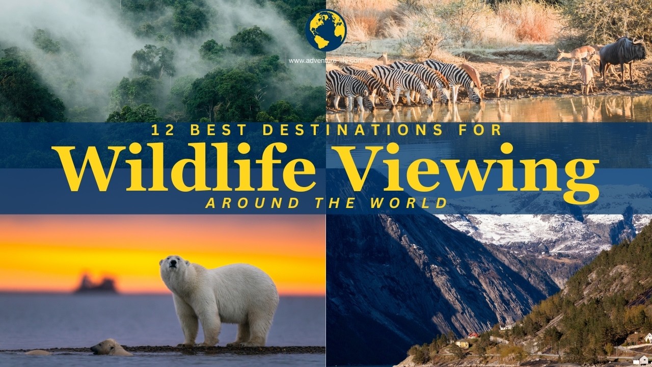 12 Best Destinations for Wildlife Viewing Around the World - YouTube