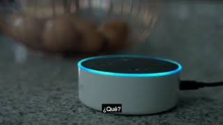 Cepam - Amazon Alexa 2018, Ecuador