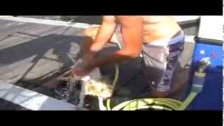 Stage Four Madeira To La Palma Prout Quest 33