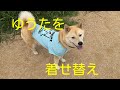優太を着せ替え【保護犬】　＜４０＞　＃保護犬