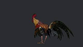 Rooster (Low Poly)