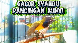 Sogok Otong materi sni