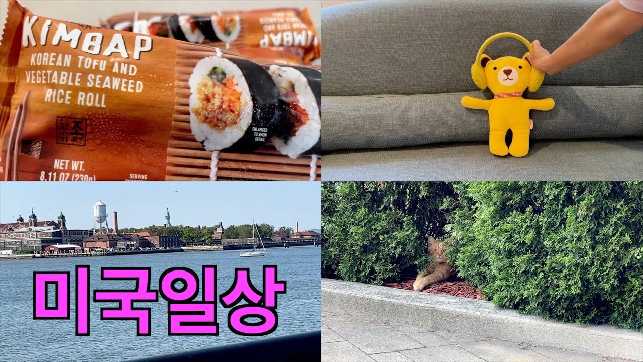 미국 일상, 트레이더조에서 신상 출시 그리고