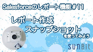 【Salesforceのレポート機能 #11】 レポート作成スナップショット