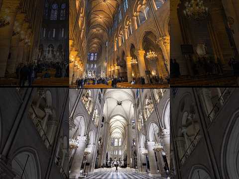 NOWE Notre Dame