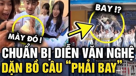 Diễn VĂN NGHỆ sợ bồ câu KO CHỊU BAY, cả lớp đã dọa sẽ CHO VÀO NỒI và cái kết | Tin 3 Phút