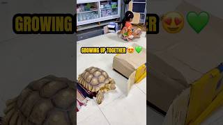 He’s Not Just a Pet… He’s Family 😍❤️🐢