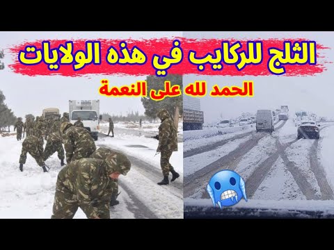 ثلوج و برد قارس على 19 ولاية جزائرية وفرحة كبيرة بين المواطنين الحمد لله رب العالمين على النعمة